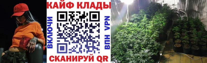 Как найти закладки Заречный omg рабочий сайт  Амфетамин  Гашиш  Марихуана  Мефедрон  СК 