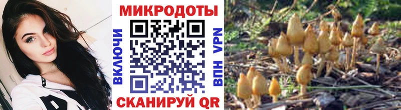Псилоцибиновые грибы MAGIC MUSHROOMS цена наркотик гидра вход Заречный